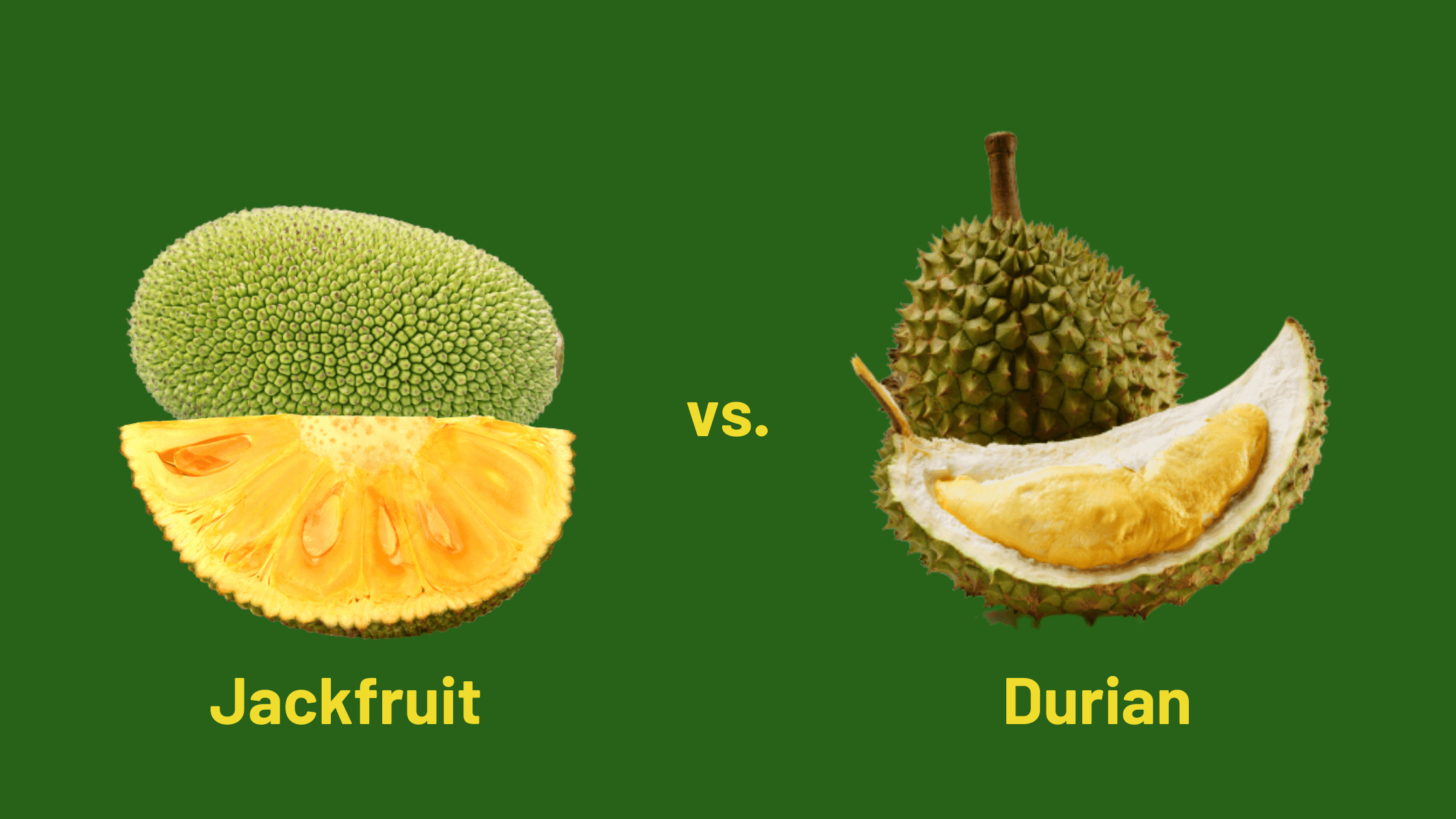 Jackfruit vs. Durian.png